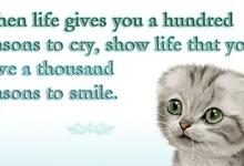 quotes drawn kittie motivational posters baby animals 1920x1080 wallpaper Art HD Wallpaper